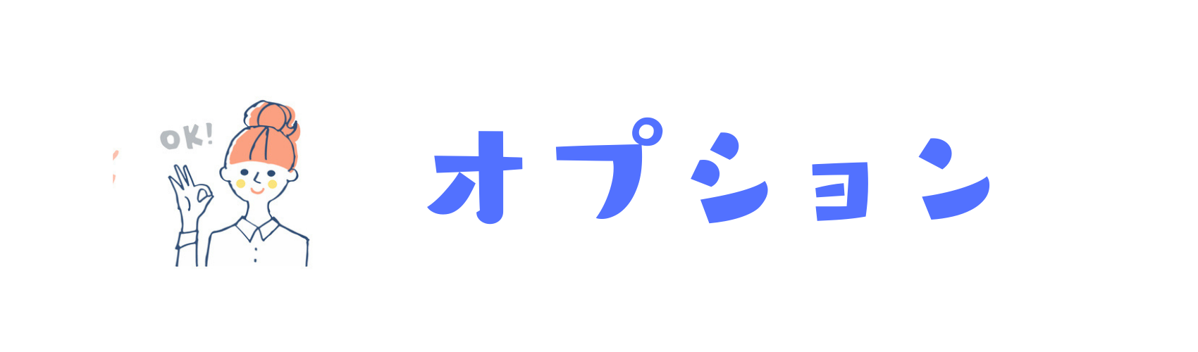 オプション料金のご案内